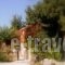 Manoli's House_accommodation_in_Hotel_Crete_Chania_Vamos