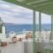 Lorenzo Studios_holidays_in_Hotel_Cyclades Islands_Paros_Naousa
