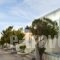 Kanelis Studios_lowest prices_in_Hotel_Cyclades Islands_Milos_Milos Chora