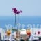Myconian Imperial Resort & Villas_holidays_in_Villa_Cyclades Islands_Mykonos_Mykonos Chora