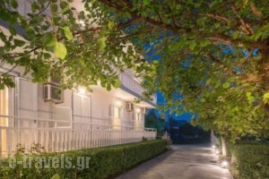 Nastazia Studios_best prices_in_Hotel_Ionian Islands_Zakinthos_Laganas