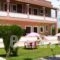 Olga's Garden Apartments_best deals_Apartment_Ionian Islands_Corfu_Corfu Rest Areas
