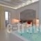 Zefi Hotel_best deals_Hotel_Cyclades Islands_Paros_Naousa