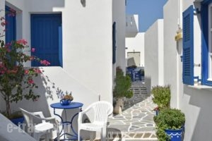 Hassouri Vasso Rooms_holidays_in_Room_Cyclades Islands_Paros_Piso Livadi
