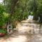 Olga's Garden Apartments_holidays_in_Apartment_Ionian Islands_Corfu_Corfu Rest Areas