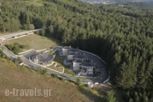 Pindos Resort_best deals_Hotel_Epirus_Ioannina_Metsovo