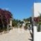 Deidamia Hotel_best deals_Hotel_Sporades Islands_Skyros_Linaria