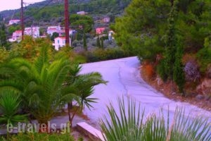 Cleomenis Hotel_best deals_Hotel_Aegean Islands_Samos_Samos Chora