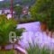 Cleomenis Hotel_best deals_Hotel_Aegean Islands_Samos_Samos Chora
