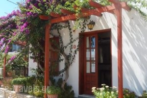 Deidamia Hotel_holidays_in_Hotel_Sporades Islands_Skyros_Linaria