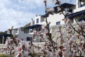 Maroussa'S Apartments_holidays_in_Apartment_Cyclades Islands_Serifos_Serifos Chora