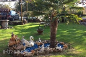 Harama Guesthouse_best deals_Hotel_Macedonia_Pella_Aridea