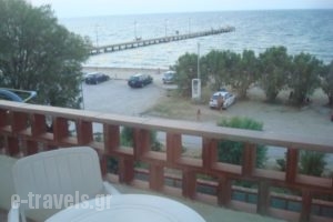 Pension Tzitzifies_best deals_Room_Macedonia_Thessaloniki_Perea