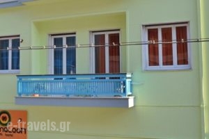 Chameleon Youth Hostel_accommodation_in_Hotel_Central Greece_Attica_Nikaia