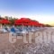 Bayside Hotel Katsaras_travel_packages_in_Dodekanessos Islands_Rhodes_Kremasti