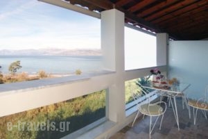 Villa Petros_best prices_in_Villa_Ionian Islands_Corfu_Corfu Rest Areas