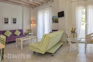 Studios Niki_accommodation_in_Hotel_Ionian Islands_Corfu_Corfu Rest Areas