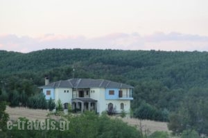 Dryades Guesthouse_accommodation_in_Hotel_Macedonia_Grevena_Perivolaki