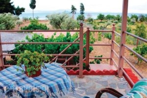 Holiday Home Astros Peloponnese_accommodation_in_Hotel_Peloponesse_Arcadia_Astros