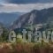 Holiday Apartment Mouzaki With A Fireplace 05_travel_packages_in_Thessaly_Karditsa_Mouzaki