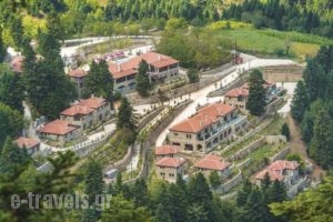 Holiday Apartment Mouzaki With A Fireplace 05_lowest prices_in_Apartment_Thessaly_Karditsa_Mouzaki