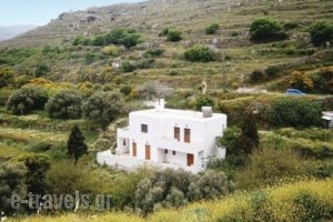 Holiday Home Andros Island C. With A Fireplace 03_accommodation_in_Hotel_Cyclades Islands_Andros_Andros City