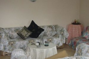 Holiday Home Andros Island C. With A Fireplace 03_best prices_in_Hotel_Cyclades Islands_Andros_Andros City