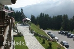 Hotel Magiossi_s __1