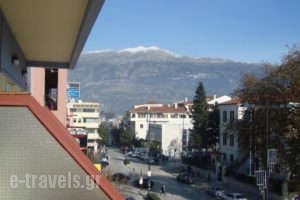 Hotel King Pyrros_holidays_in_Hotel_Epirus_Ioannina_Ioannina City