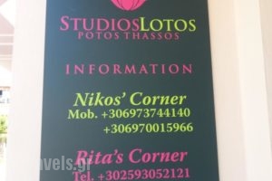 Studios Lotos_accommodation_in_Hotel_Aegean Islands_Thasos_Thasos Chora