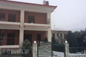 Karipidis Hotel_holidays_in_Hotel_Macedonia_Florina_Aetos