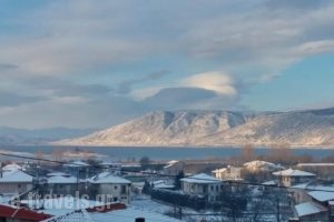Karipidis Hotel_best deals_Hotel_Macedonia_Florina_Aetos