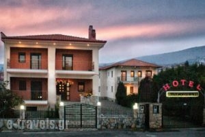 Karipidis Hotel_accommodation_in_Hotel_Macedonia_Florina_Aetos
