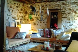 Vitsi Lodge_holidays_in_Hotel_Macedonia_kastoria_Aposkepos