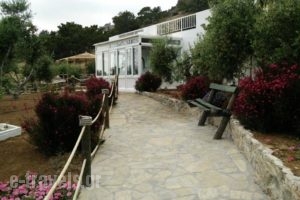 Villa Artemis_accommodation_in_Villa_Crete_Lasithi_Ierapetra