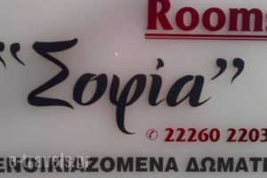 Sofia Rooms_holidays_in_Room_Central Greece_Evia_Edipsos