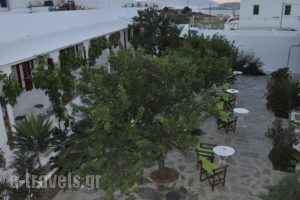 Mykonos Vouniotis Rooms_best deals_Room_Cyclades Islands_Mykonos_Ornos