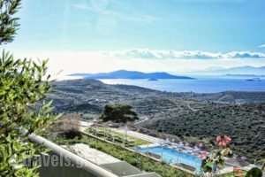Filion Eco Hotel & Suites_holidays_in_Hotel_Central Greece_Evia_Nea Stira