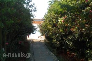 Levanda_holidays_in_Hotel_Central Greece_Aetoloakarnania_Amfilochia