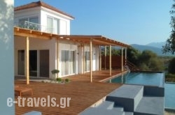 Levanda_s __1