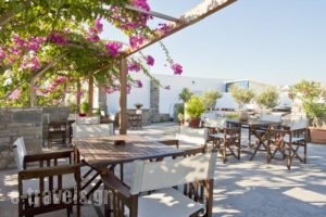 Stefano Apartments_best deals_Apartment_Cyclades Islands_Paros_Piso Livadi