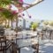 Stefano Apartments_best deals_Apartment_Cyclades Islands_Paros_Piso Livadi