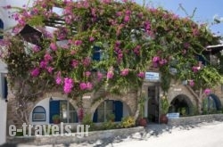 Stefano Apartments in Piso Livadi, Paros, Cyclades Islands
