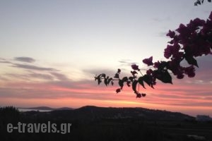 La Stella_travel_packages_in_Cyclades Islands_Mykonos_Mykonos ora
