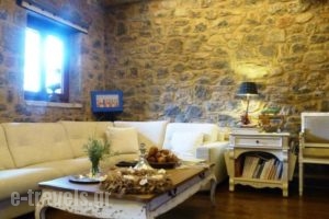 Argyriou Wine Tasting Guest House_best prices_in_Hotel_Central Greece_Fokida_Gravia