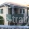 Wild Sea Apartments_best prices_in_Apartment_Ionian Islands_Lefkada_Lefkada Chora