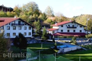 Naoussa Mountain Resort_accommodation_in_Hotel_Macedonia_Imathia_Naousa