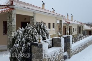 En Feneo_lowest prices_in_Hotel_Peloponesse_Korinthia_Feneos