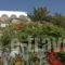 Mykonos View Hotel_travel_packages_in_Cyclades Islands_Mykonos_Mykonos Chora