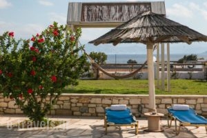 Fyrogenis Palace_holidays_in_Hotel_Cyclades Islands_Paros_Alyki